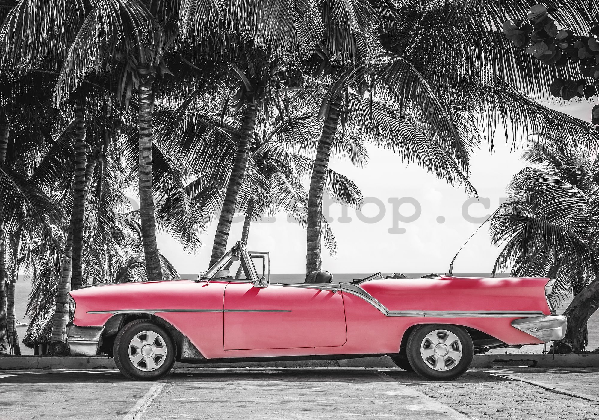 Fototapeta: Kuba červené auto - 184x254 cm