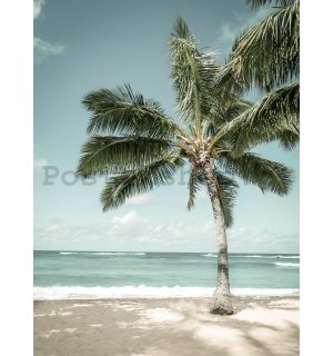 Fototapeta: Palma u moře - 184x254 cm