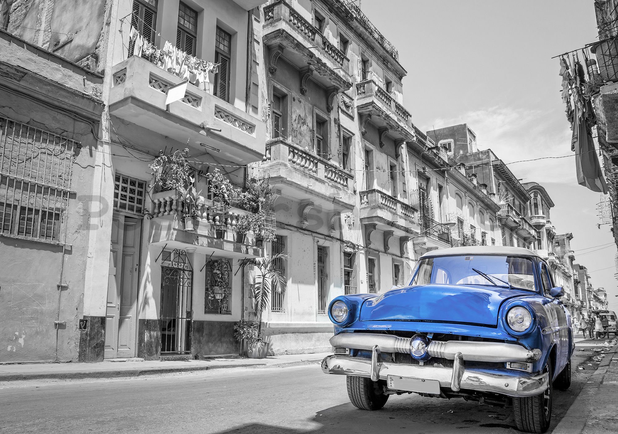 Fototapeta vliesová: Havana modré auto - 254x368 cm