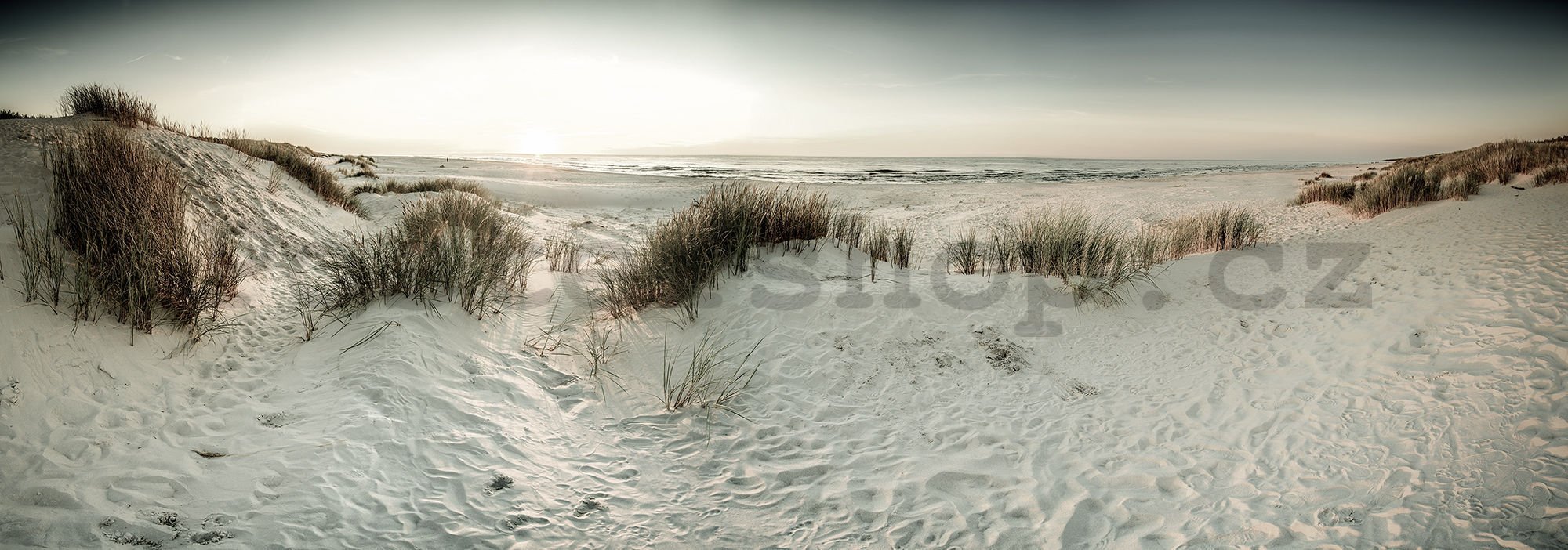 Fototapeta: písečné duny - 624x219 cm
