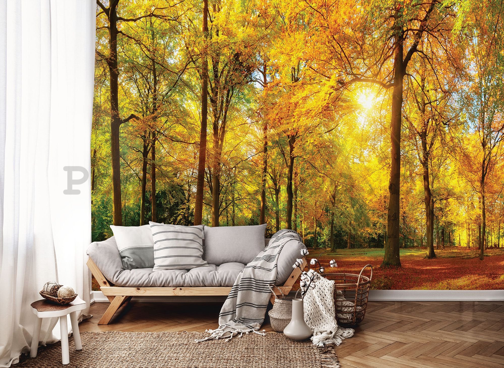 Fototapeta vliesová: Spadané listí v lese - 416x254 cm