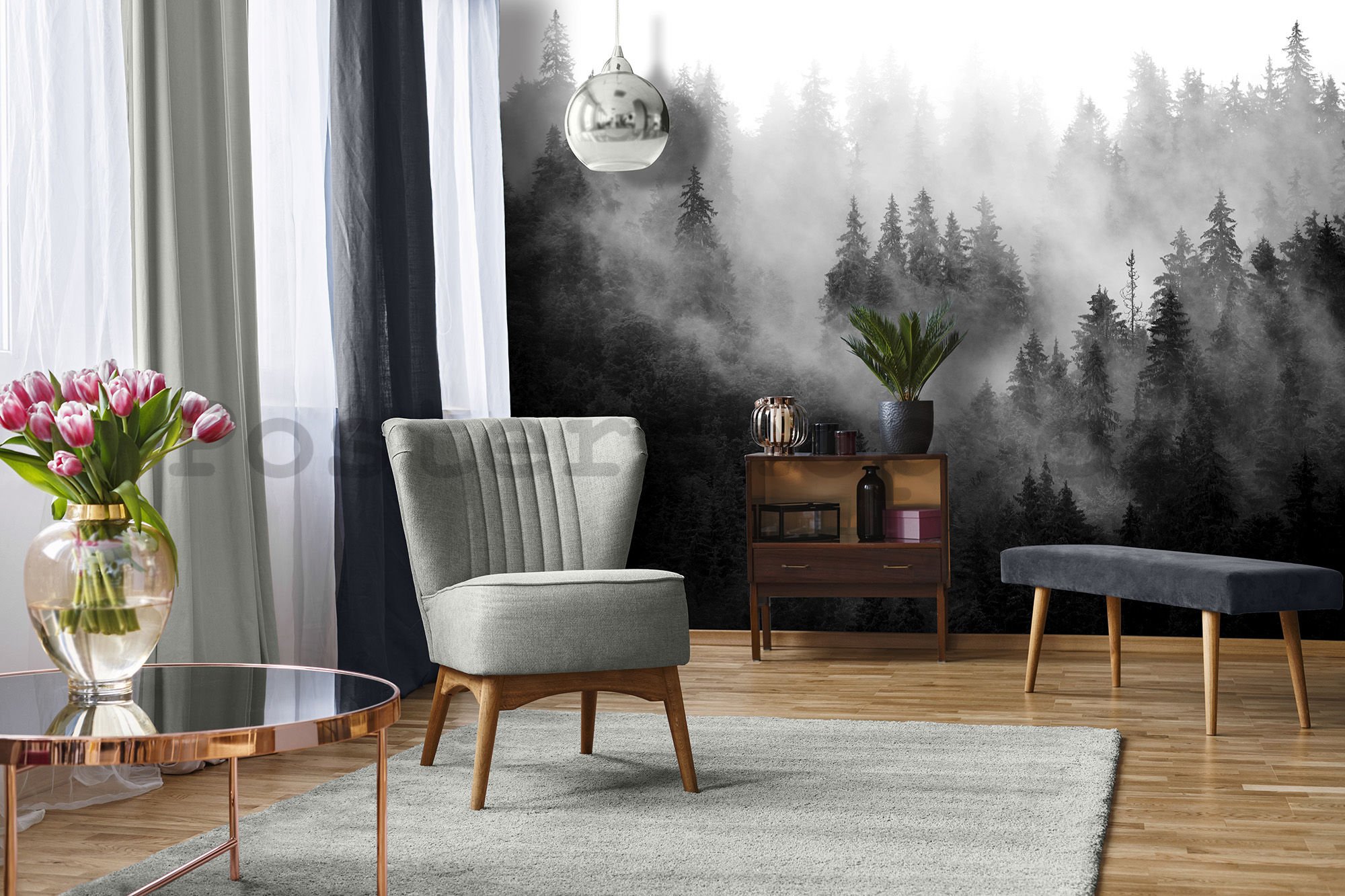 Fototapeta vliesová: Mlha nad lesem (černobílá) - 416x254 cm