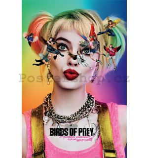 Plakát - Birds Of Prey (Seeing Stars)