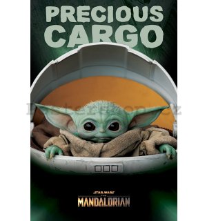Plakát - Star Wars The Mandalorian (Precious Cargo)