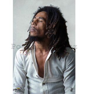 Plakát - Bob Marley (Redemption)