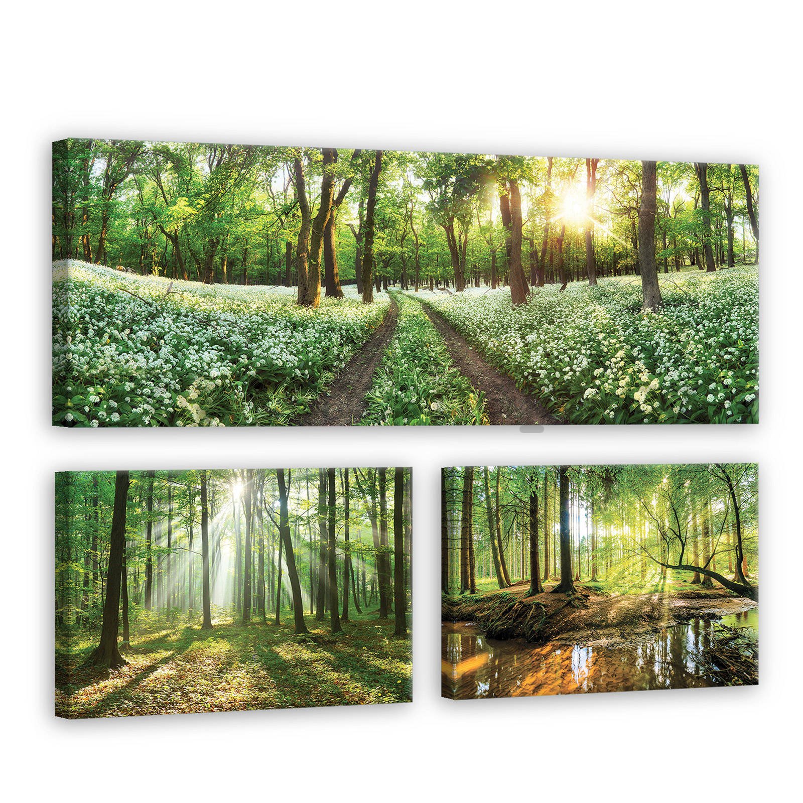 Obraz na plátně: Cesta lesem - set 1ks 80x30 cm a 2ks 37,5x24,8 cm