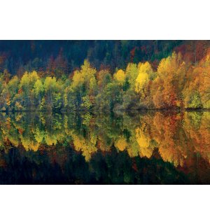 Fototapeta: Podzimní les a jezero - 368x254cm