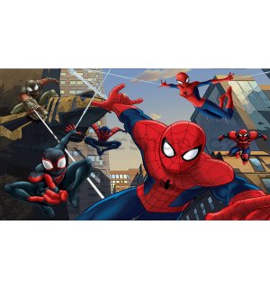 Fototapeta vliesová: Spiderman (2) - 152,5x104cm