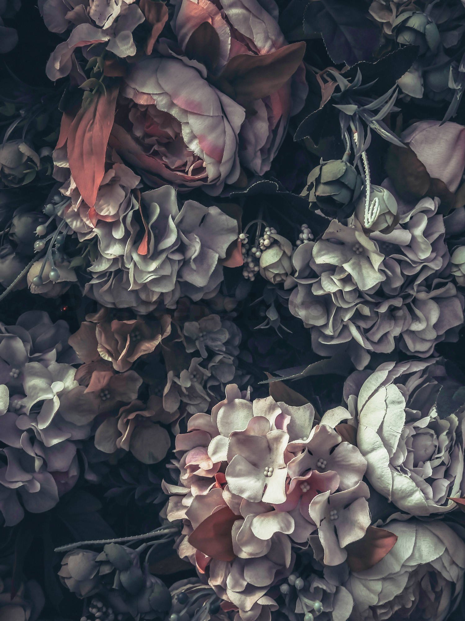 Fototapeta: Květinová kombinace (2) - 184x254 cm