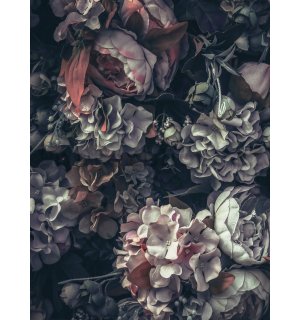 Fototapeta: Květinová kombinace (2) - 184x254 cm