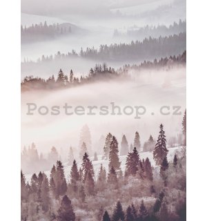 Fototapeta: Mlžný les - 184x254 cm