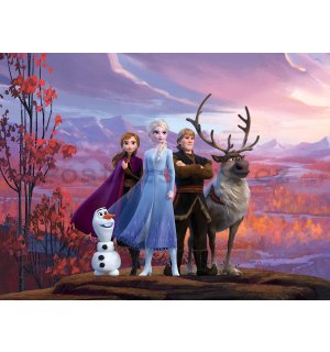 Fototapeta vliesová: Frozen II - 360x270 cm