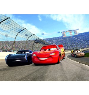 Fototapeta vliesová: Cars (race) - 360x270 cm