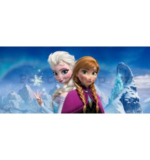Fototapeta vliesová: Frozen Sisters (panorama) - 202x90 cm