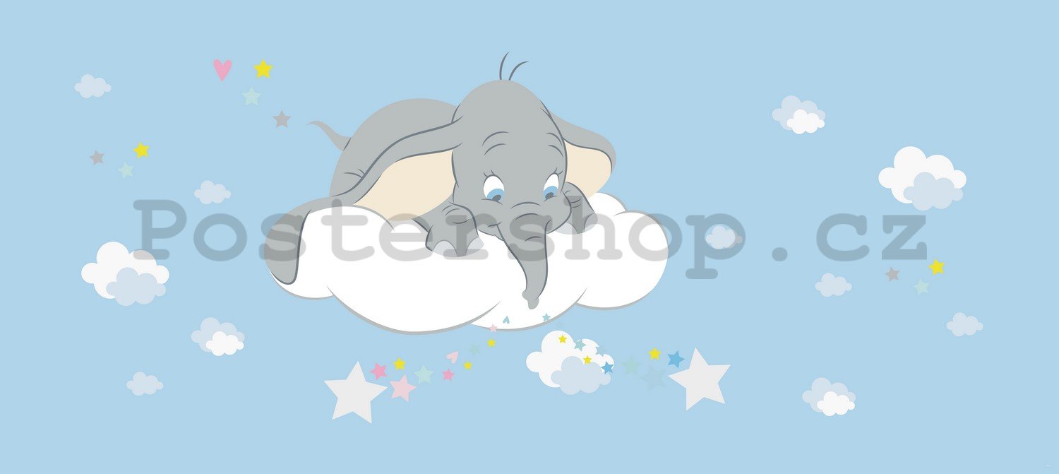 Fototapeta vliesová: Dumbo (panorama)  - 202x90 cm
