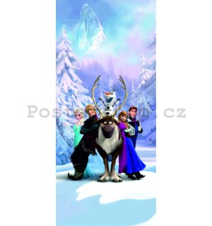 Fototapeta vliesová: Frozen - 90x202 cm