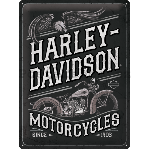Plechová cedule: Harley-Davidson Motorcycles Eagle - 40x30 cm