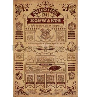 Plakát - Harry Potter (Quidditch At Hogwarts)