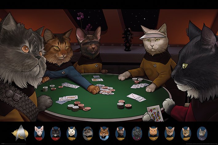 Plakát - Star Trek Cats (Poker)