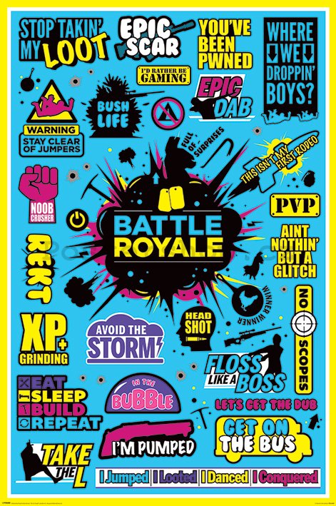 Plakát - Battle Royale (Infographic)