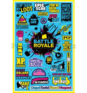 Plakát - Battle Royale (Infographic)