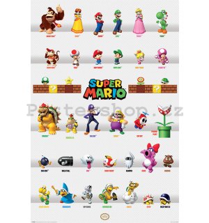 Plakát - Super Mario (Character Parade)
