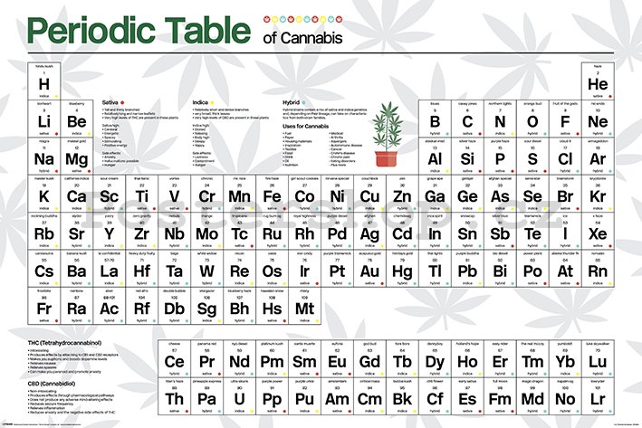 Plakát - Periodic Table (Cannabis)