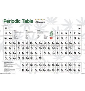 Plakát - Periodic Table (Cannabis)