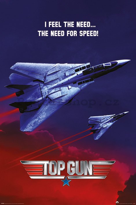 Plakát - Top Gun (The Need For Speed)
