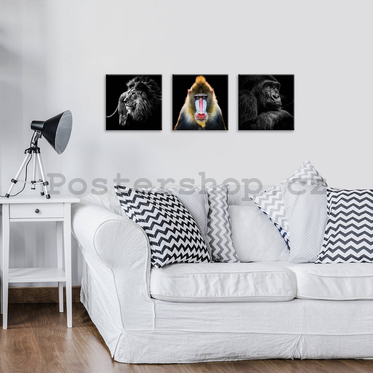 Obraz na plátně: Lev, Mandril a Gorila - set 3ks 25x25cm