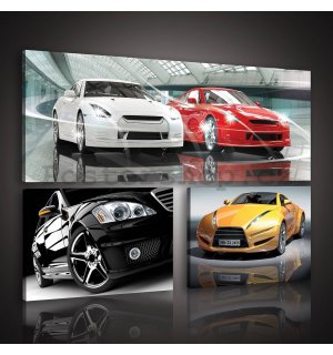 Obraz na plátně: Sportovní auta - set 1ks 80x30 cm a 2ks 37,5x24,8 cm