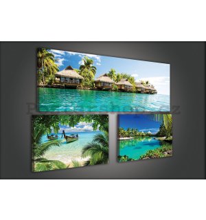Obraz na plátně: Tropický ráj - set 1ks 80x30 cm a 2ks 37,5x24,8 cm