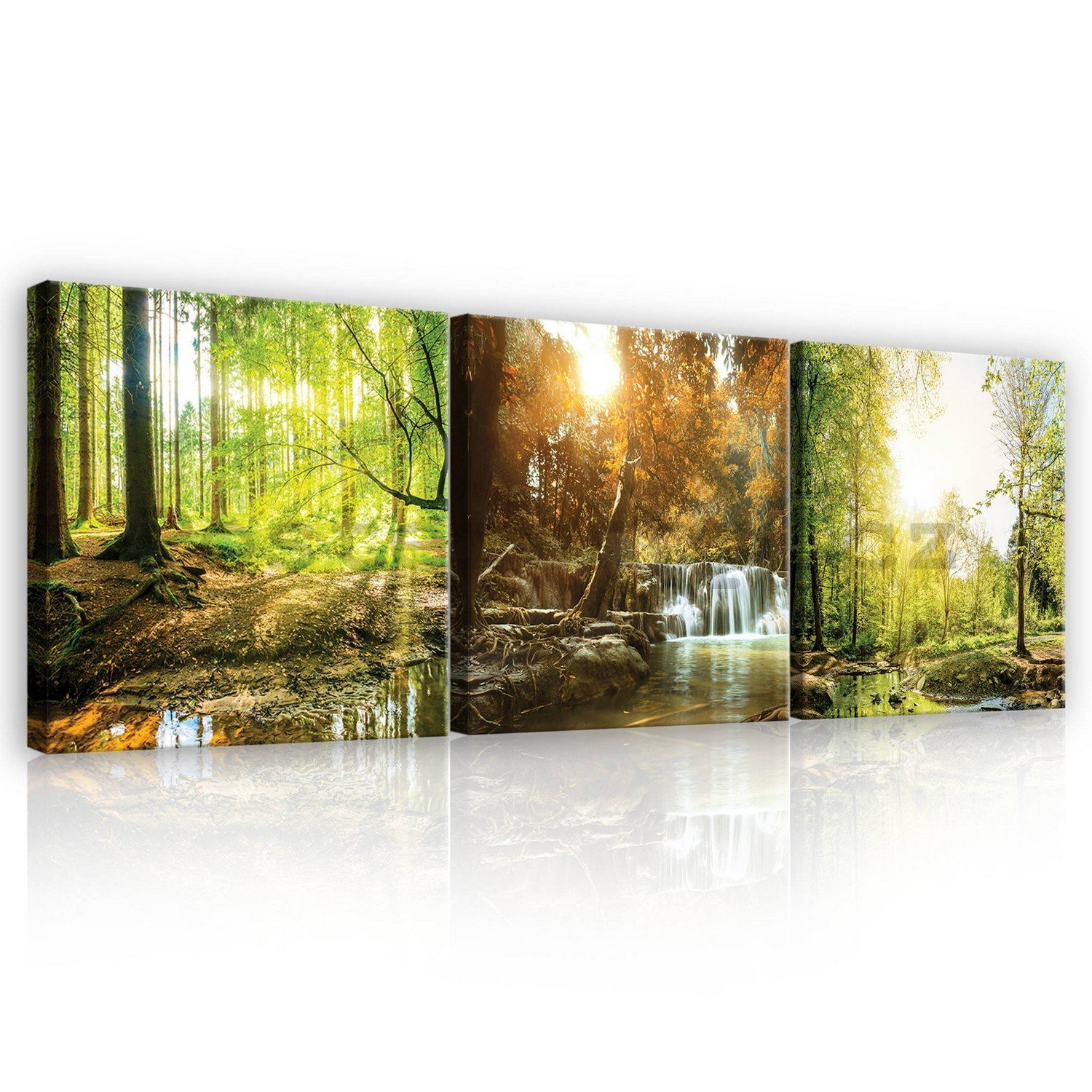 Obraz na plátně: Lesní potok - set 3ks 25x25cm