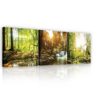 Obraz na plátně: Lesní potok - set 3ks 25x25cm