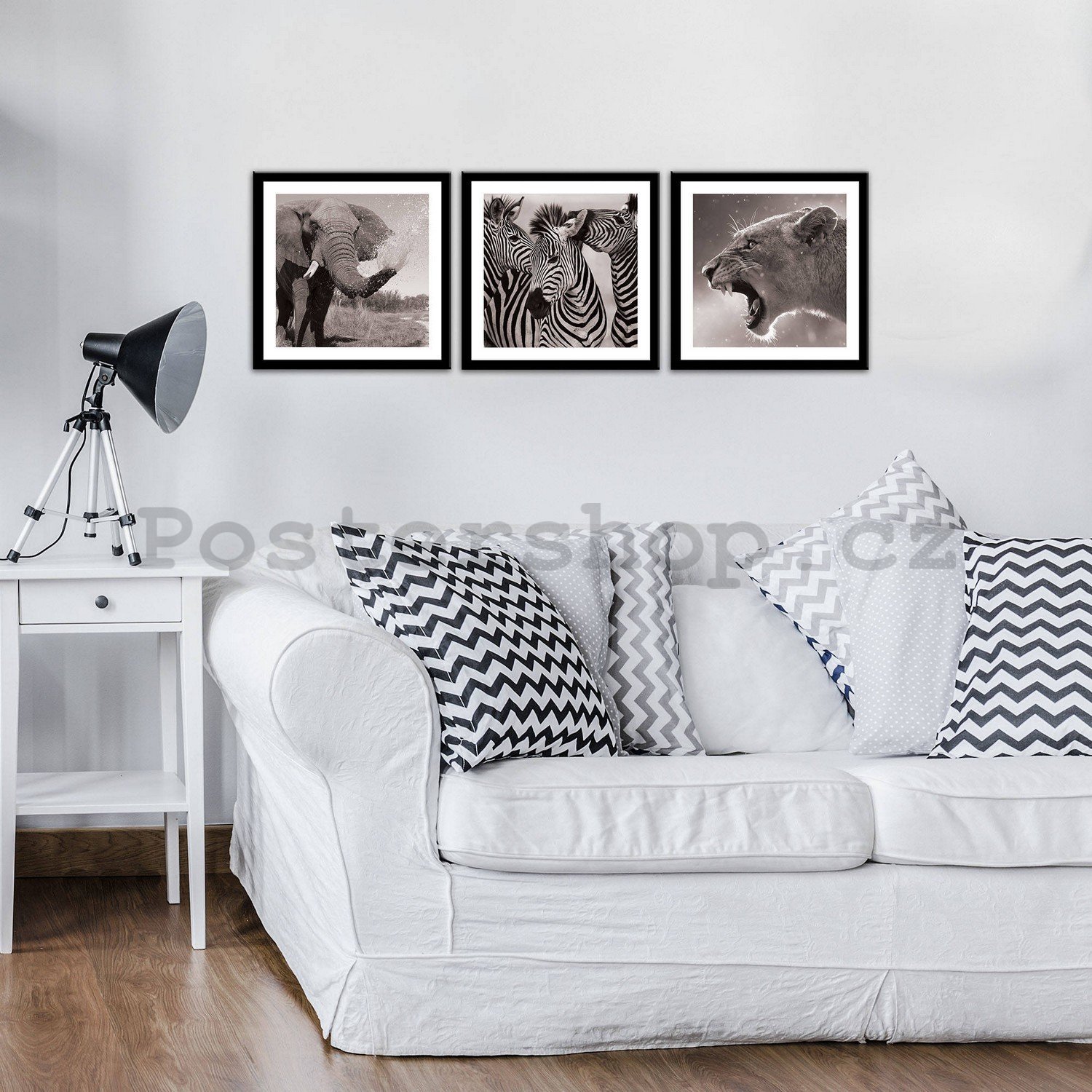 Obraz na plátně: Slon, Zebry a Lvice - set 3ks 25x25cm