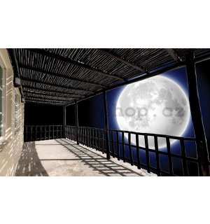 Fototapeta vliesová: Měsíc za verandou - 254x184 cm