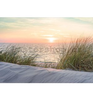 Fototapeta vliesová: Východ slunce nad mořem - 152,5x104 cm