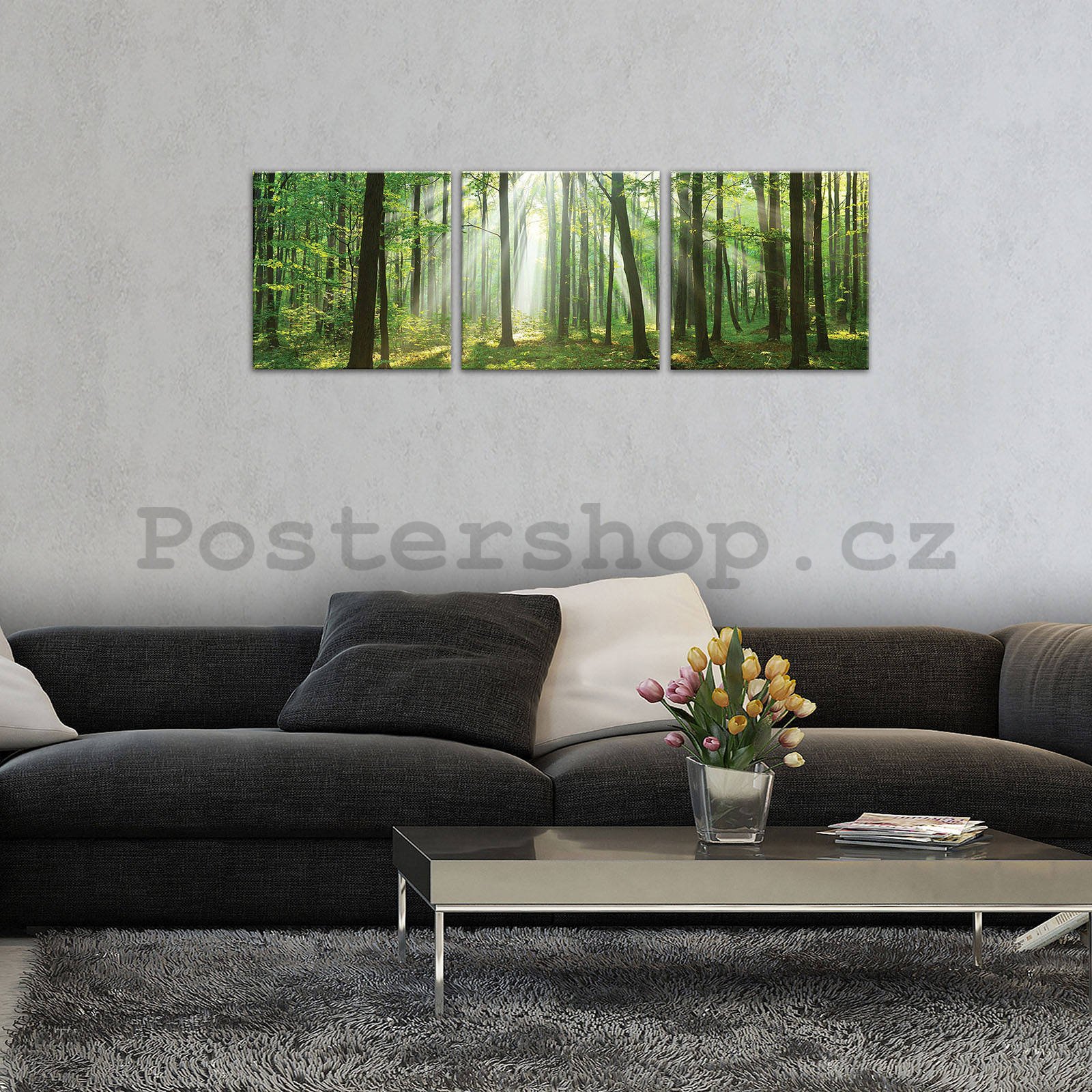 Obraz na plátně: Slunce v lese (3) - set 3ks 25x25cm
