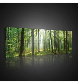 Obraz na plátně: Slunce v lese (3) - set 3ks 25x25cm