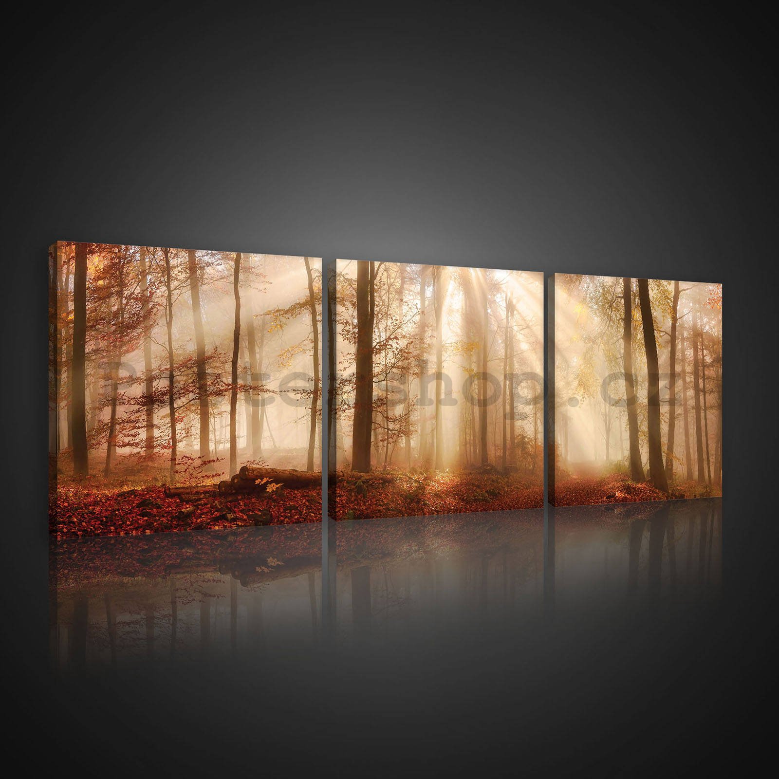 Obraz na plátně: Lesní rozbřesk - set 3ks 25x25cm