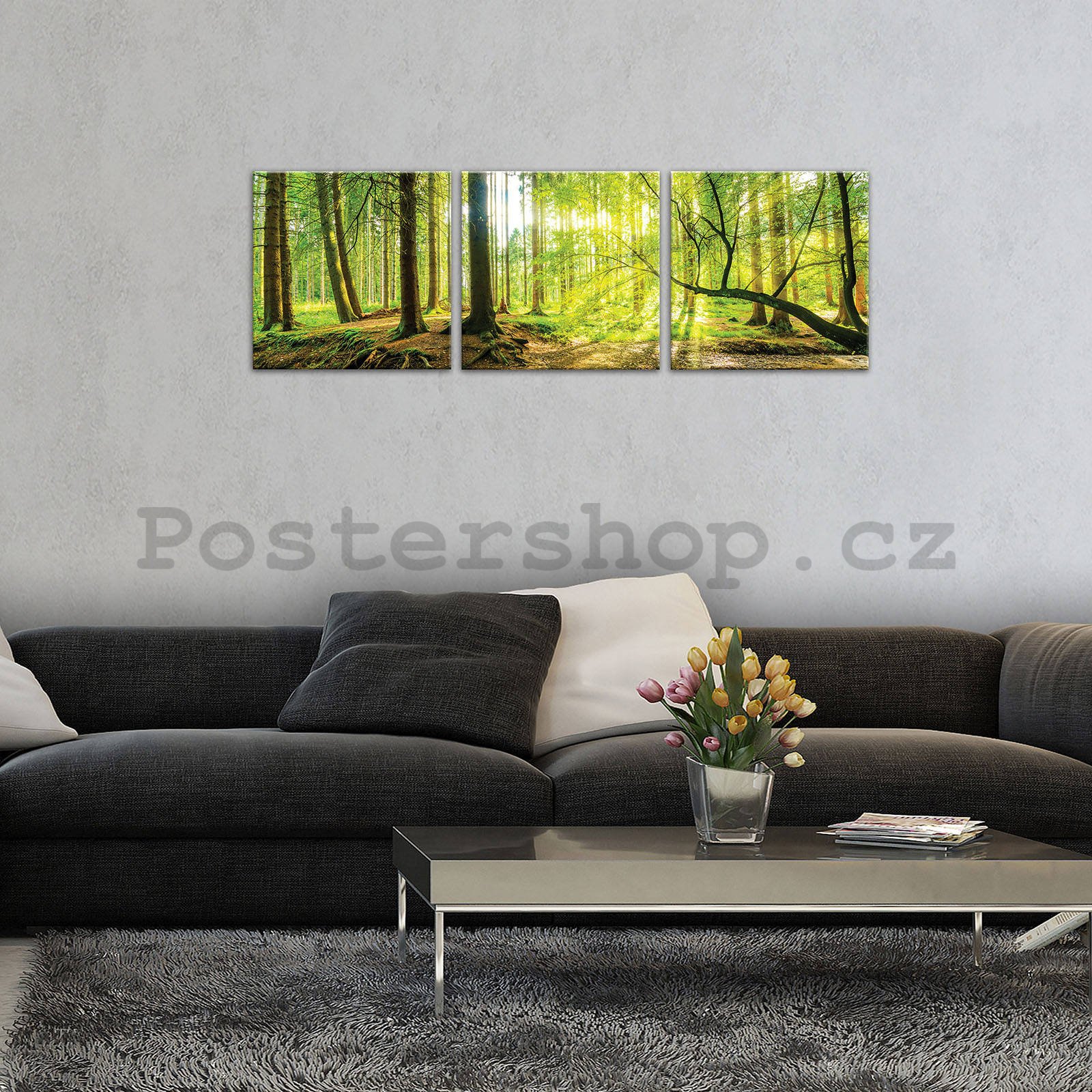 Obraz na plátně: Lužní les - set 3ks 25x25cm