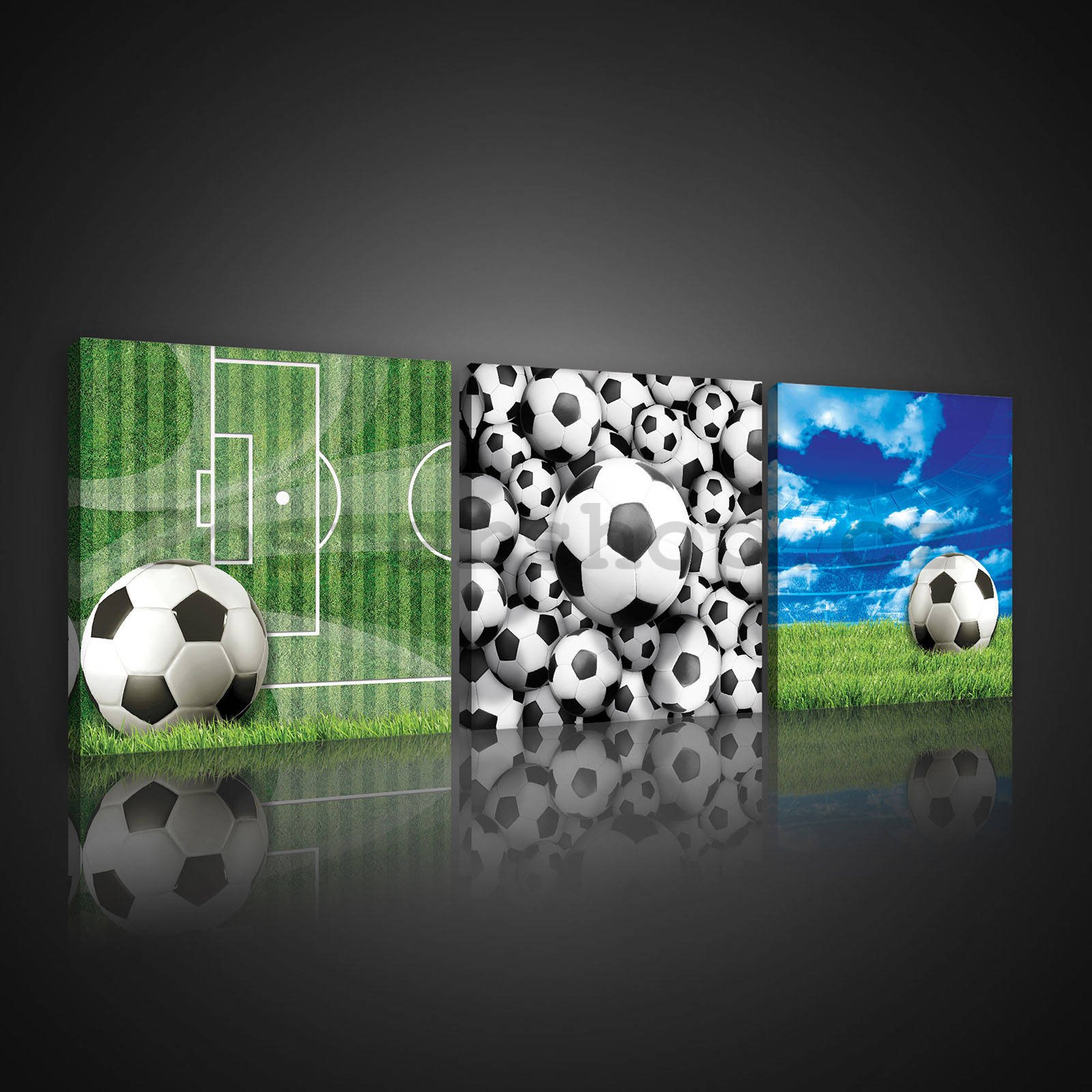 Obraz na plátně: Fotbalové míče - set 3ks 25x25cm