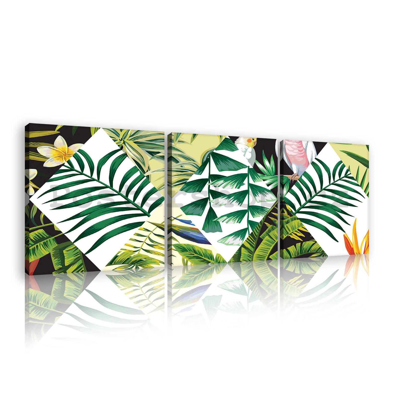 Obraz na plátně: Malovaná tropická flóra (2) - set 3ks 25x25cm