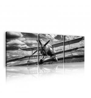 Obraz na plátně: Dvojplošník (černobílé) - set 3ks 25x25cm