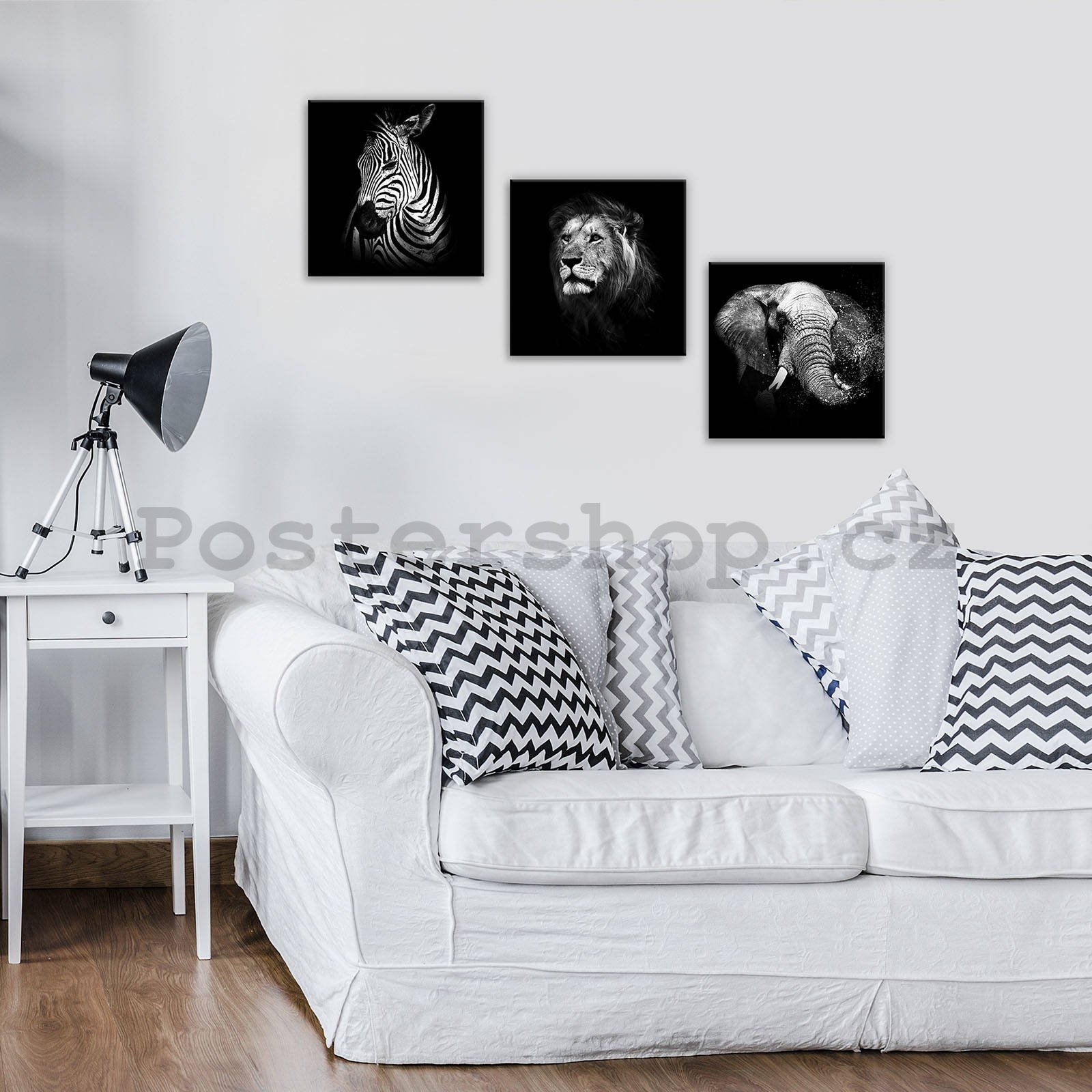 Obraz na plátně: Černobílá zvířata (1) - set 3ks 25x25cm