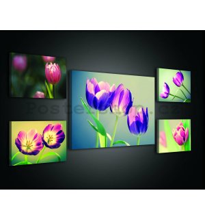 Obraz na plátně: Tulipány (2) - set 1ks 70x50 cm a 4ks 32,4x22,8 cm