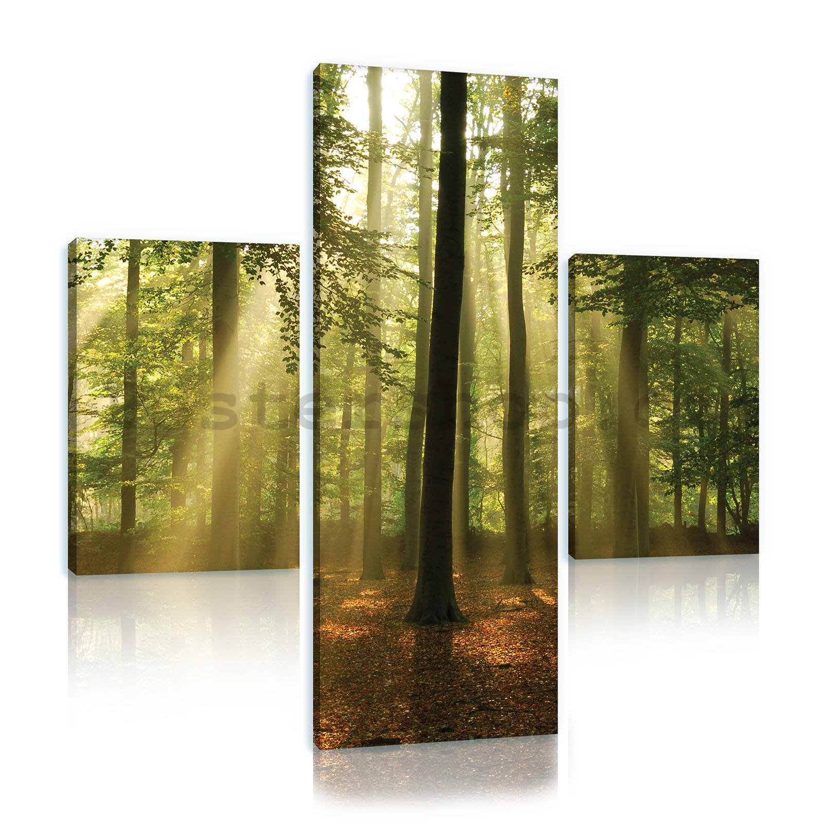 Obraz na plátně: Slunce v lese (4) - set 1ks 80x30 cm a 2ks 37,5x24,8 cm
