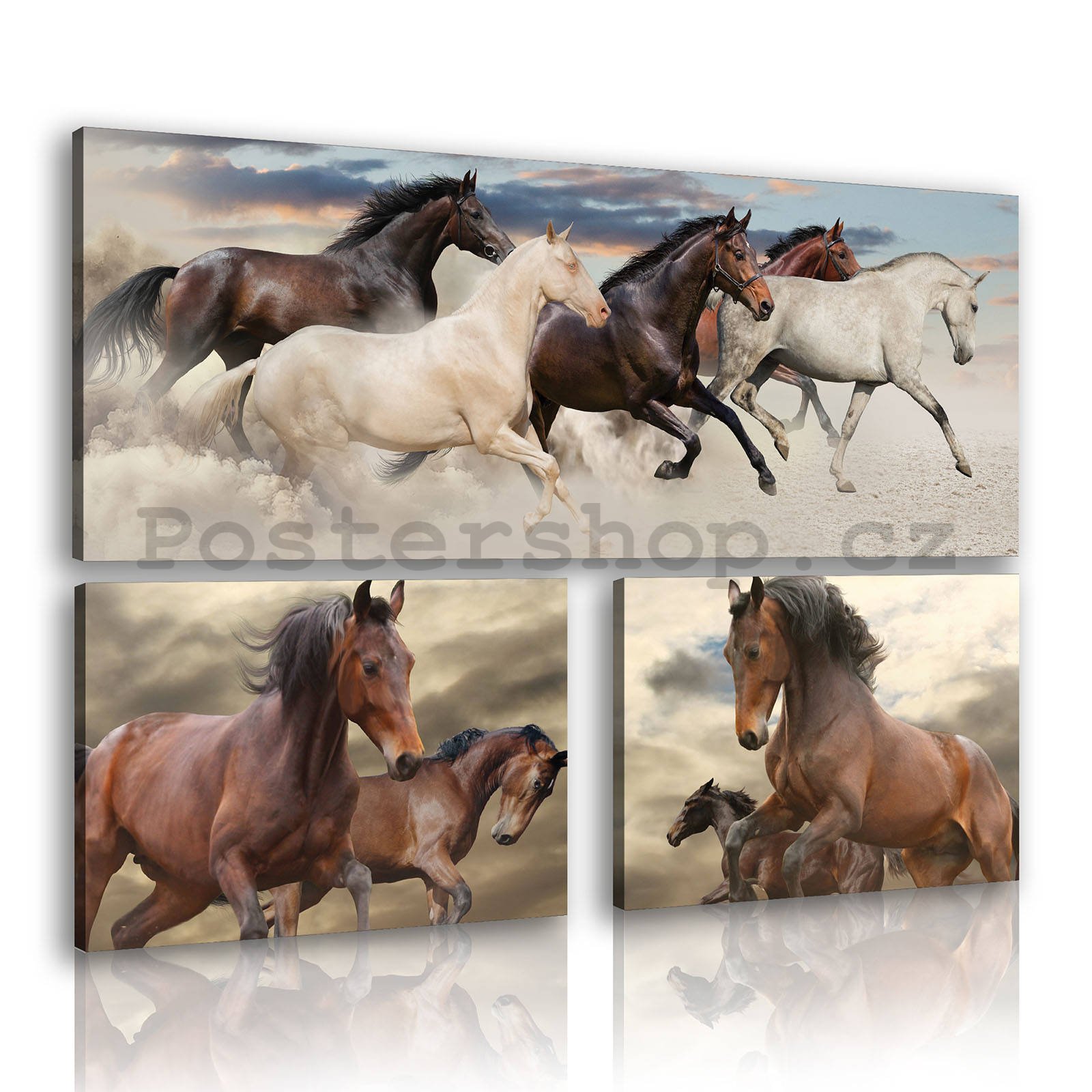 Obraz na plátně: Koně (2) - set 1ks 80x30 cm a 2ks 37,5x24,8 cm