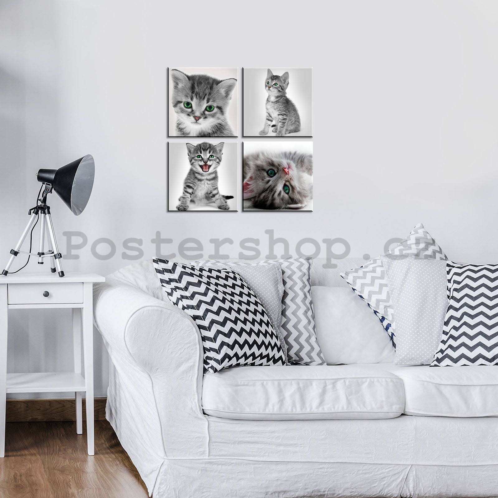 Obraz na plátně: Kotě (1) - set 4ks 25x25cm