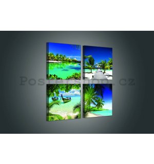 Obraz na plátně: Tropický ráj - set 4ks 25x25cm